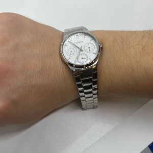 Skagen Ladies Silver Large Face Watch